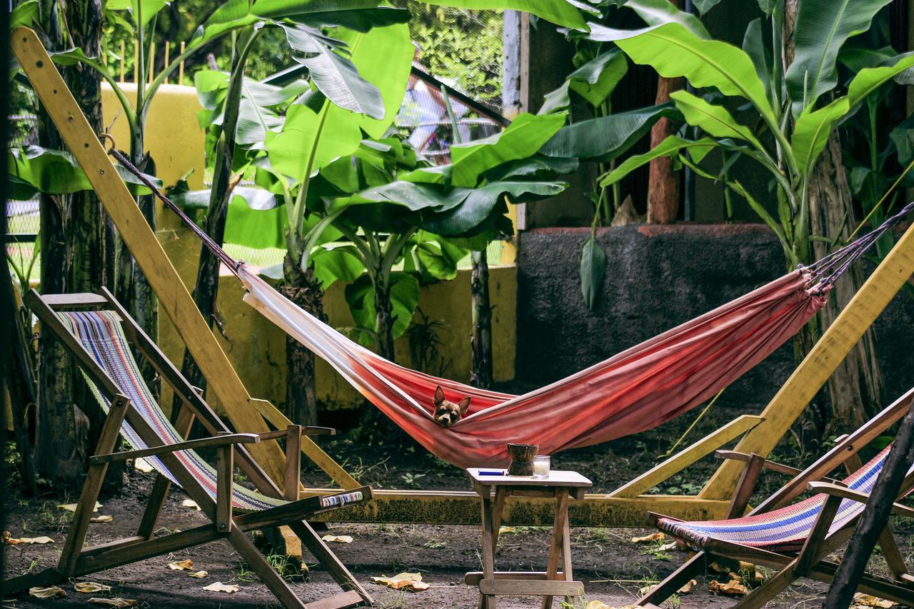 Hostel Life Is Good Moyogalpa Esterno foto